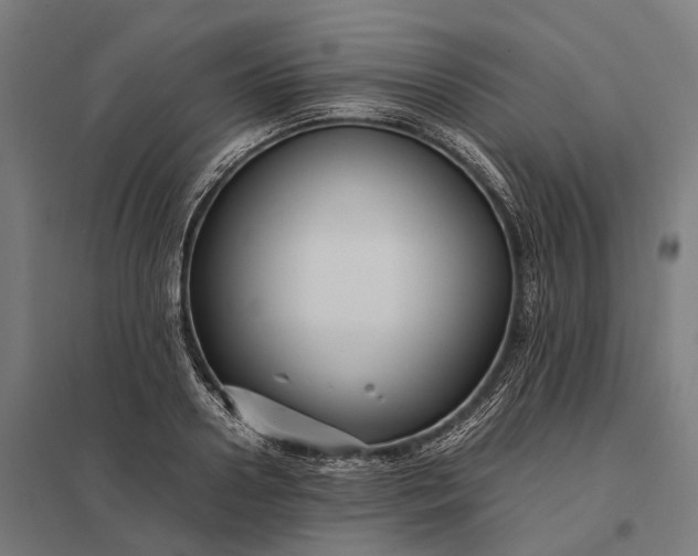 X0000097920938200803281422