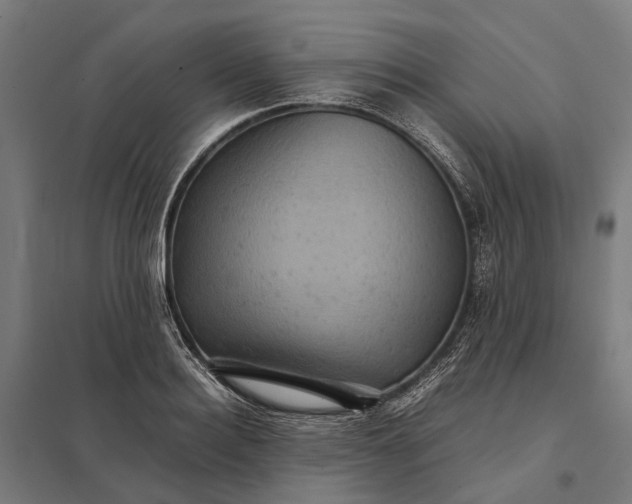 X0000097920940200803281423