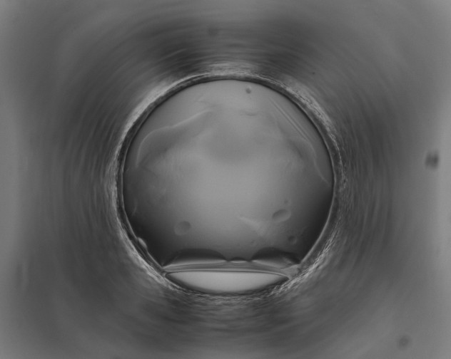 X0000097920941200803281423