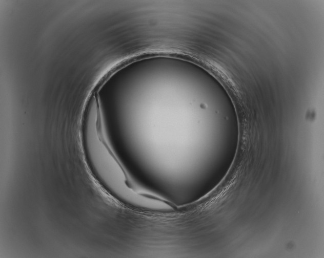 X0000097920942200803281423