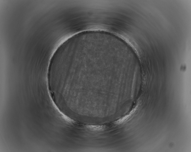 X0000097920943200803281423