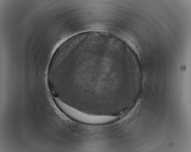 X0000097920944200803281423