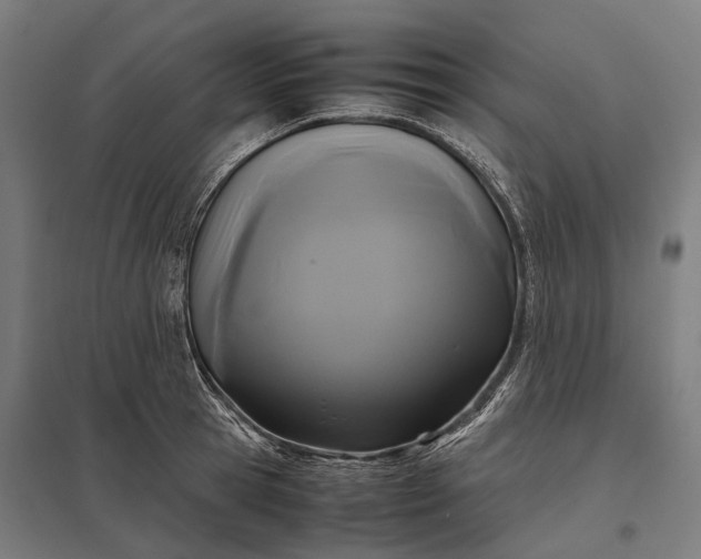 X0000097920945200803281423