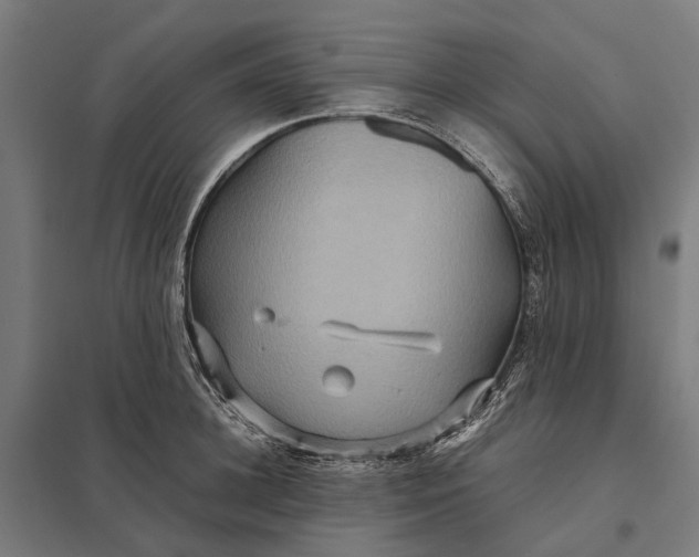 X0000097920948200803281423