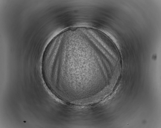 X0000097920949200803281423