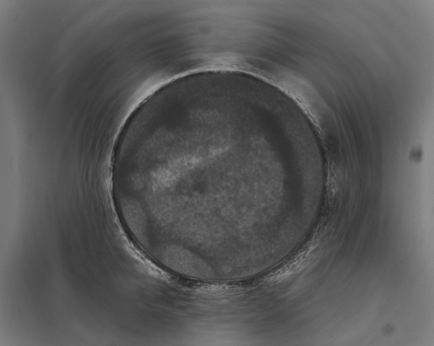 X0000097920950200803281423