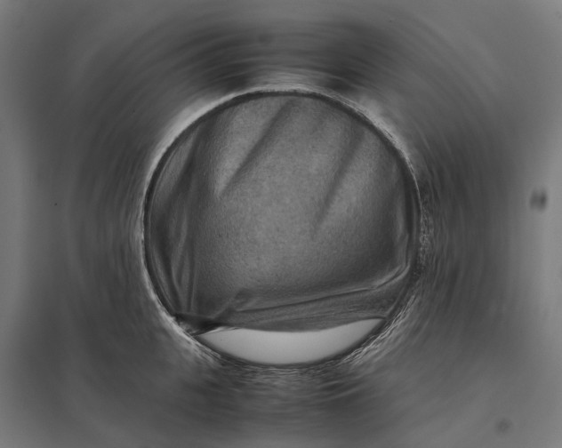 X0000097920951200803281423