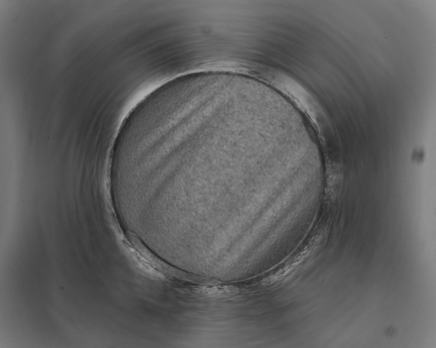 X0000097920952200803281423