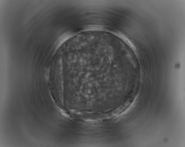 X0000097920953200803281423