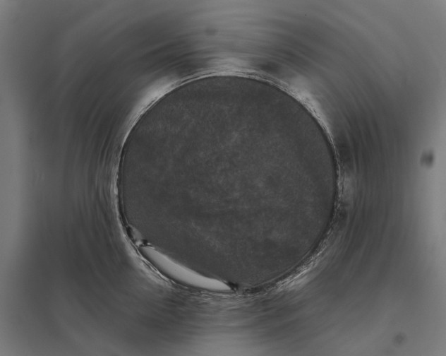 X0000097920954200803281423