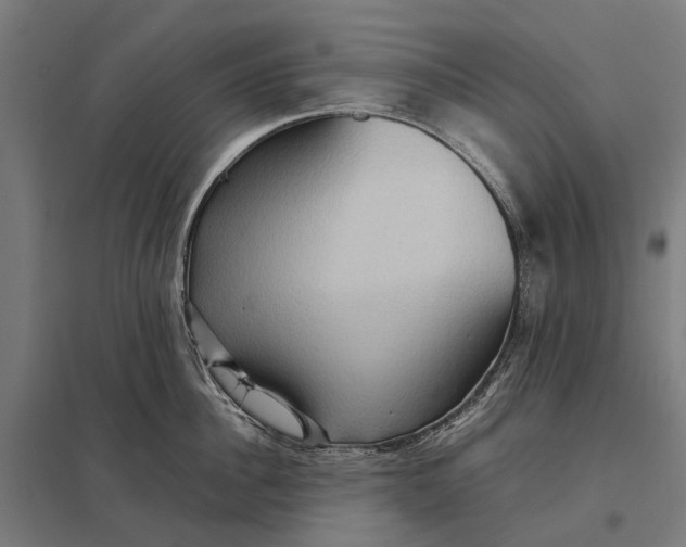 X0000097920956200803281423