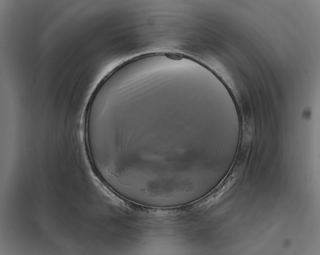 X0000097920958200803281423