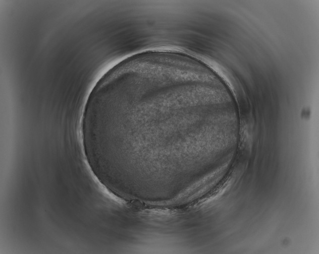 X0000097920959200803281423