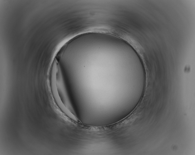 X0000097920960200803281423