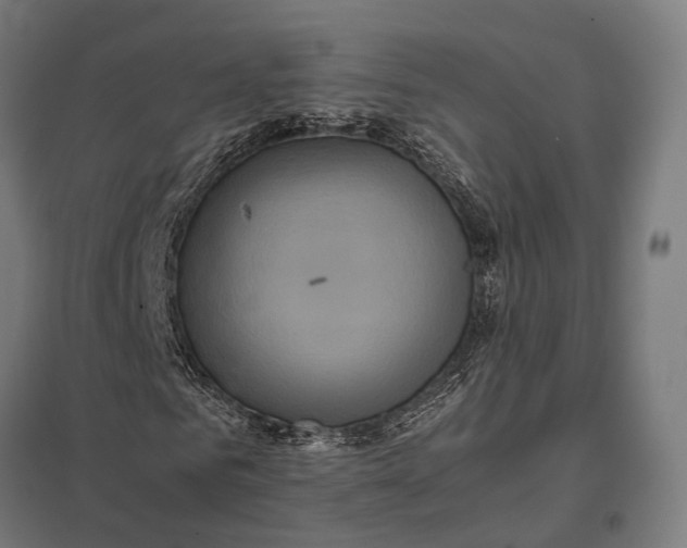 X0000097920961200803281422