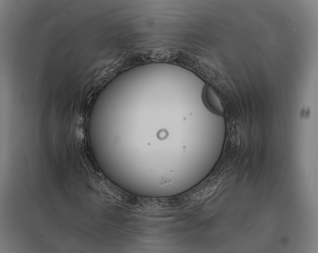 X0000097920962200803281422