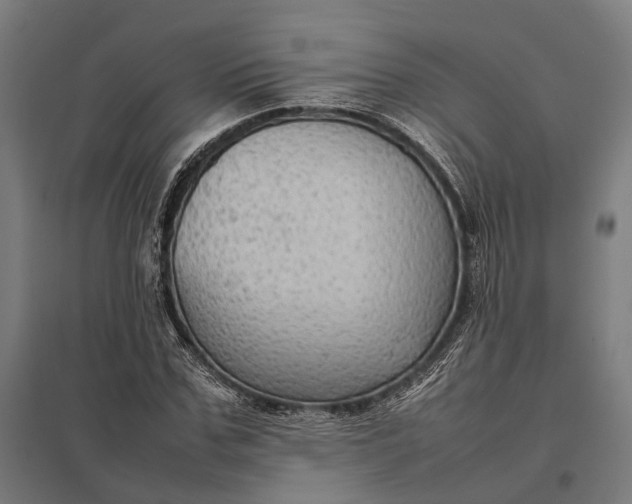 X0000097920971200803281422