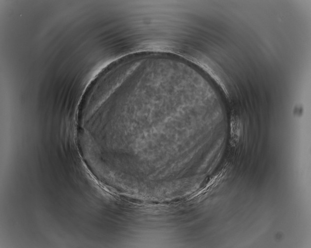 X0000097920972200803281422