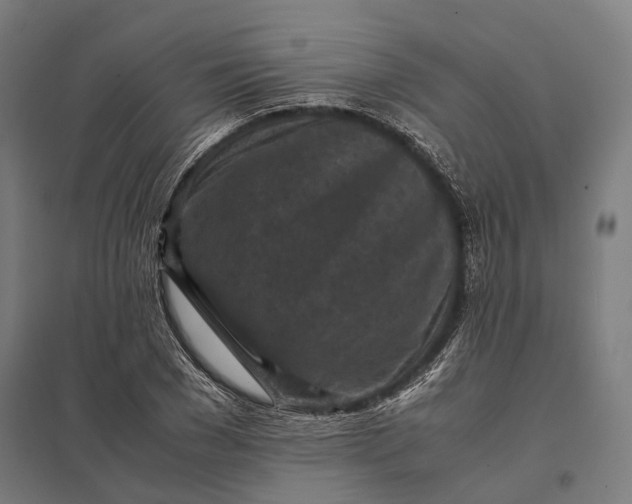 X0000097920977200803281422