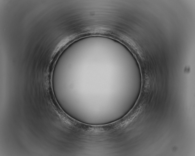 X0000097920978200803281422