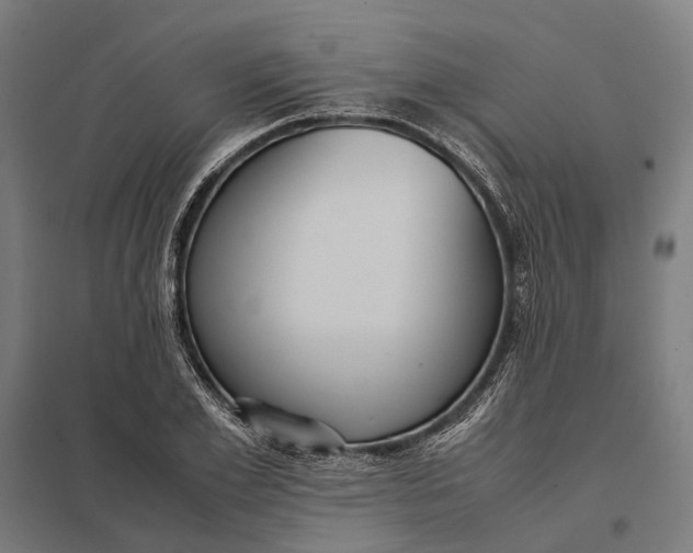 X0000097920981200803281422