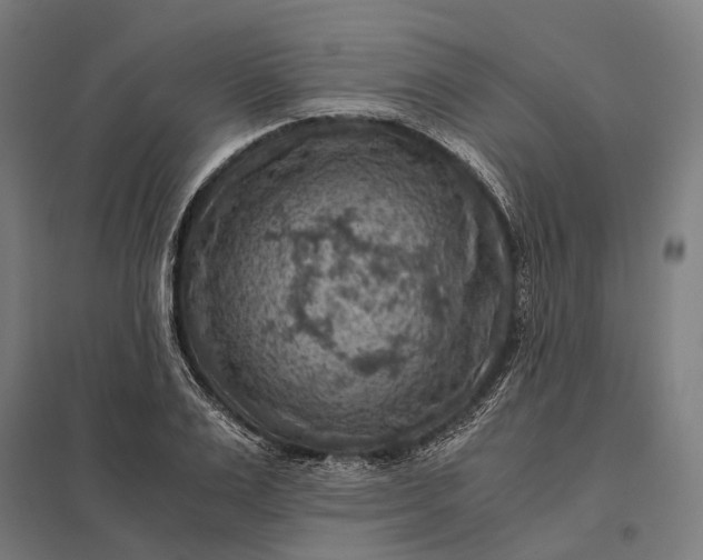 X0000097920983200803281422