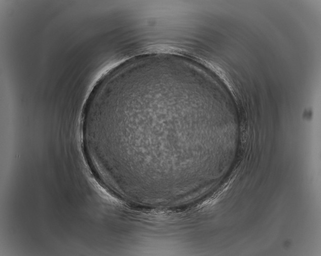 X0000097920987200803281422