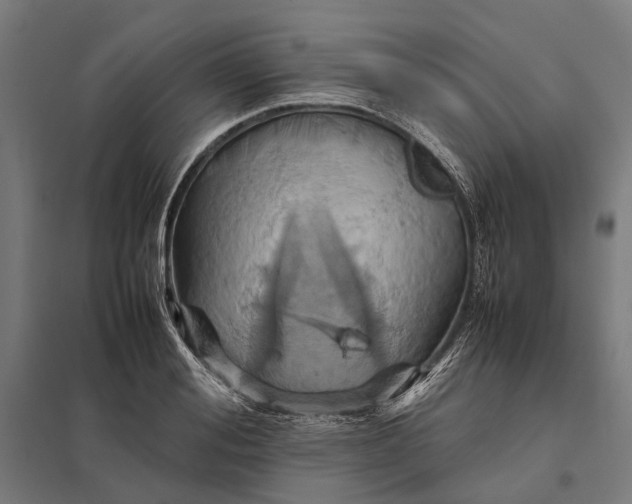 X0000097920988200803281422