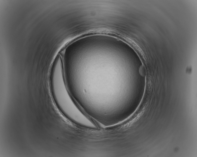 X0000097920989200803281422