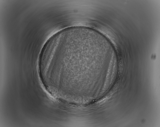 X0000097920991200803281422