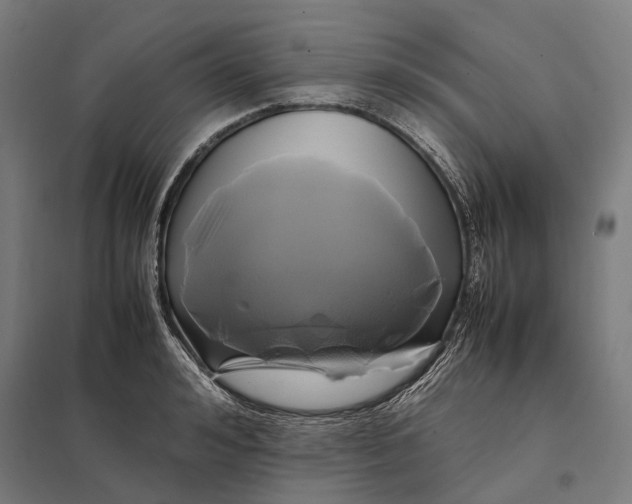 X0000097920992200803281422