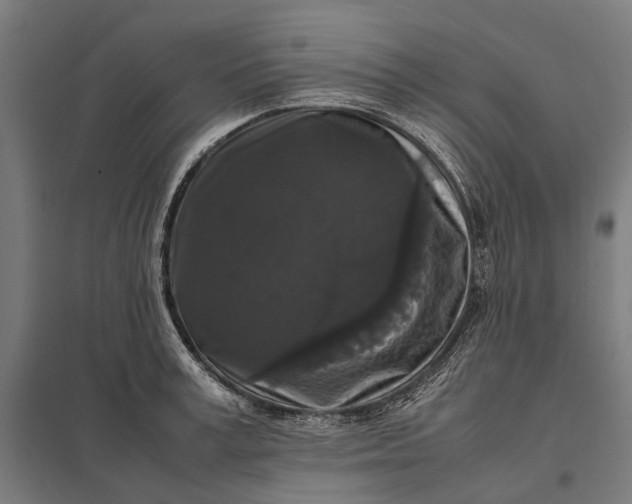 X0000097920995200803281422