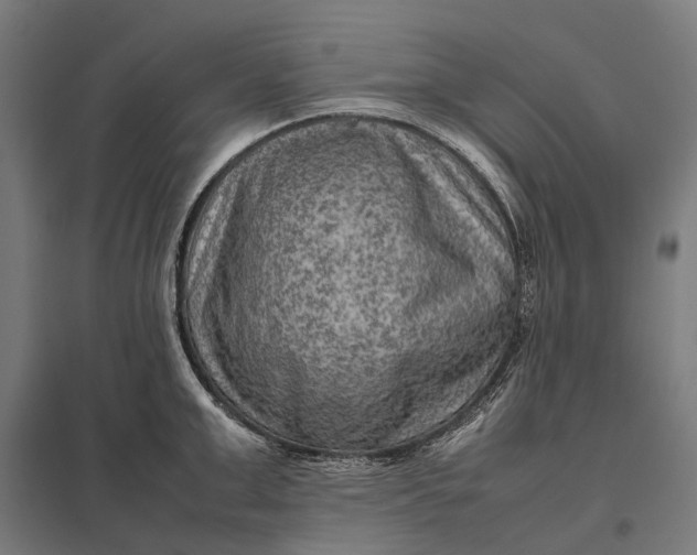 X0000097920999200803281422