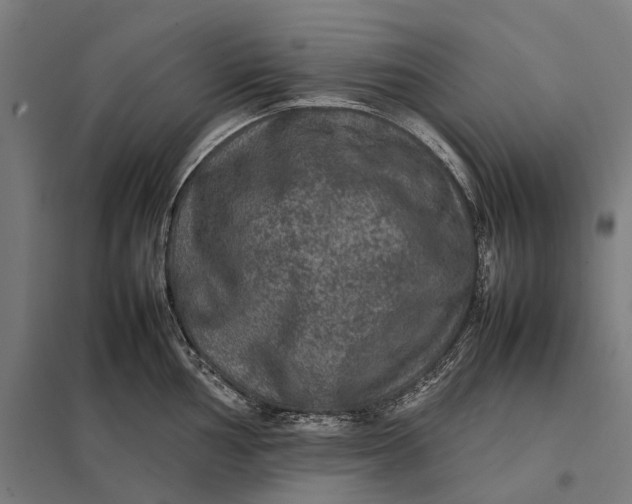 X0000097921002200803281422