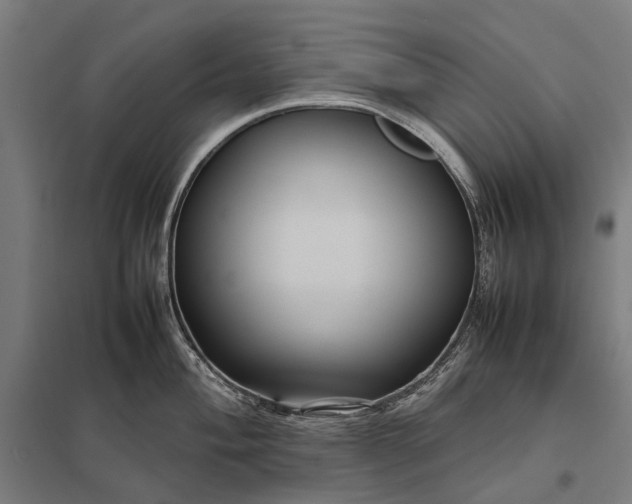 X0000097921004200803281422