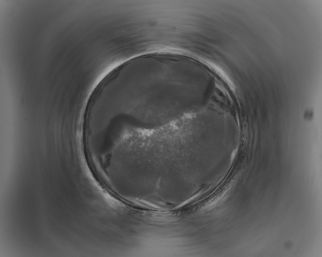 X0000097921007200803281422