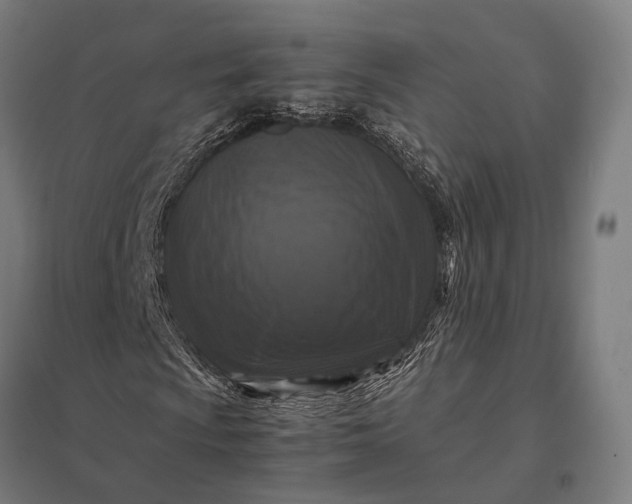 X0000097921009200803281421