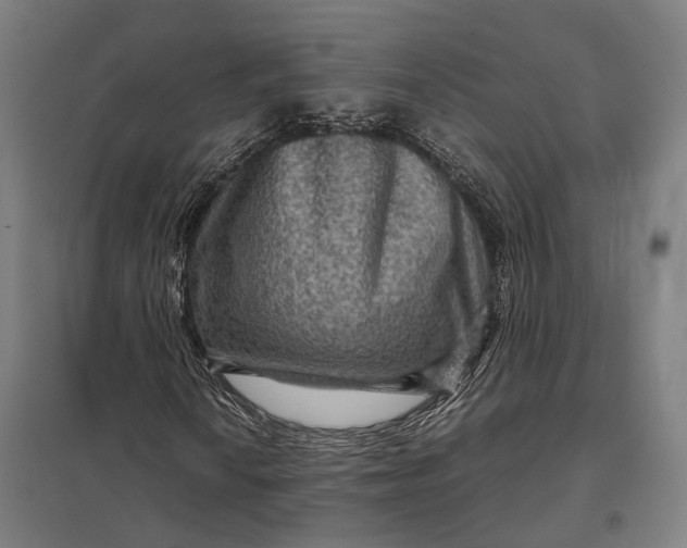 X0000097921010200803281421