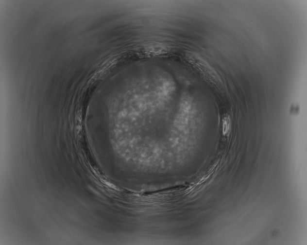 X0000097921011200803281421