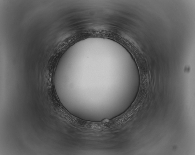 X0000097921013200803281421