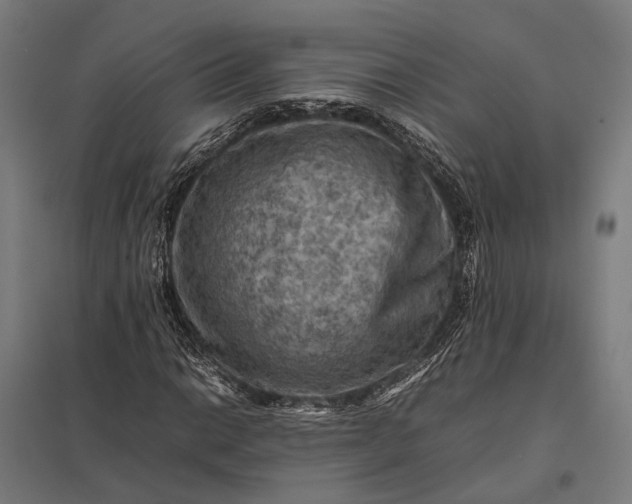 X0000097921014200803281421