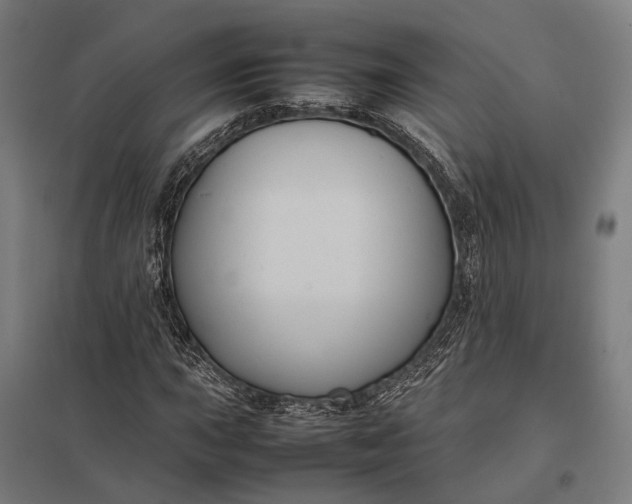 X0000097921015200803281421