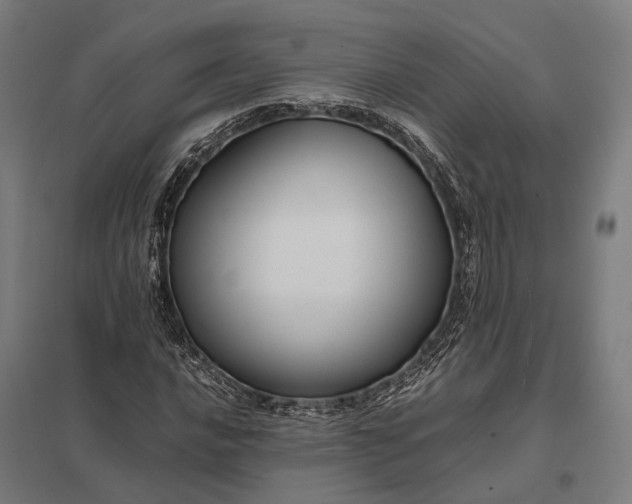 X0000097921016200803281421