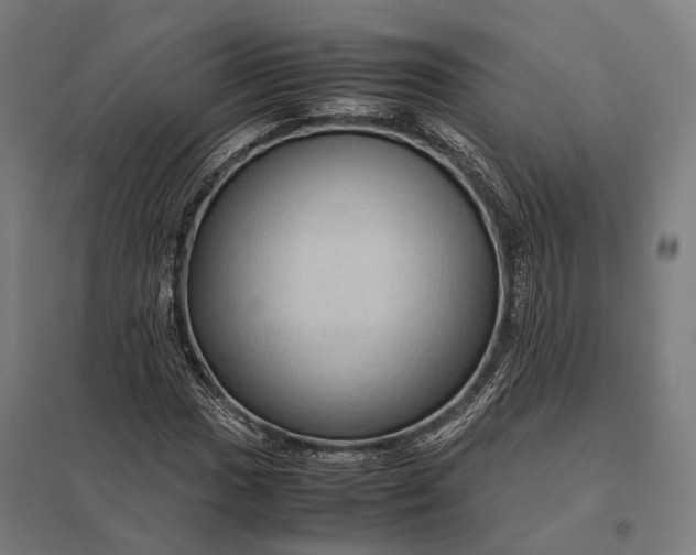 X0000097921017200803281421