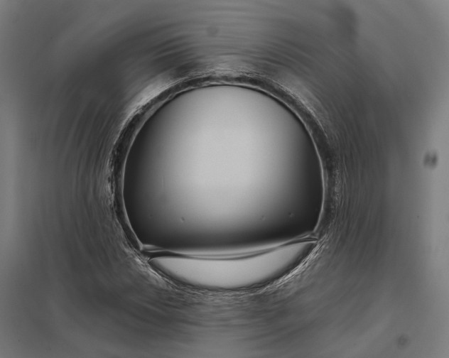 X0000097921018200803281421