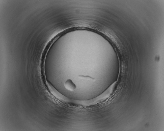 X0000097921020200803281421