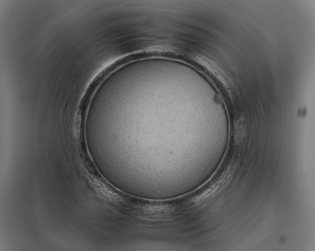 X0000097921021200803281421