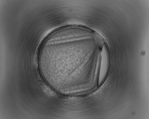 X0000097921022200803281421