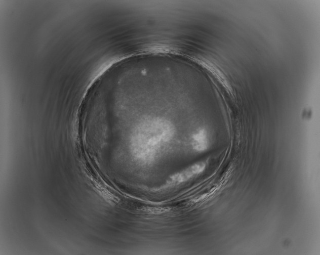 X0000097921023200803281421