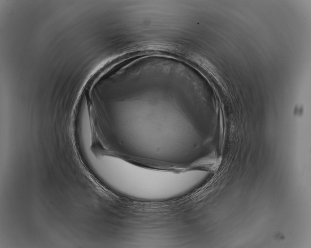 X0000097921024200803281421